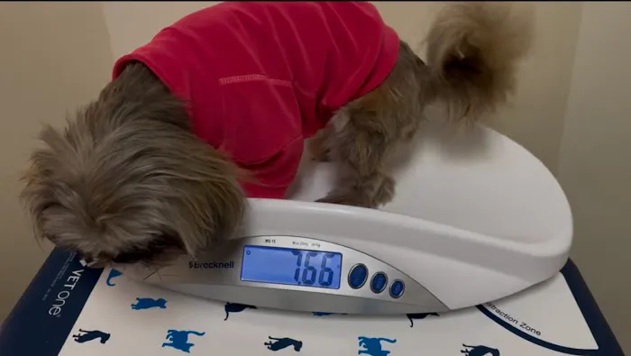 Vetco Total Care Animal Hospital 10