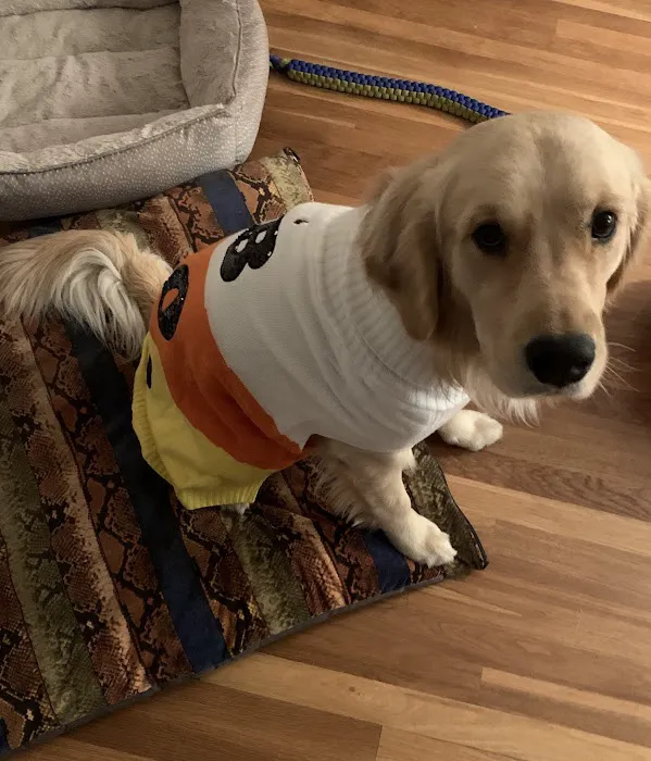 Saugus Animal Hospital 3