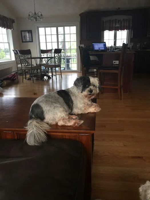 Saugus Animal Hospital 8