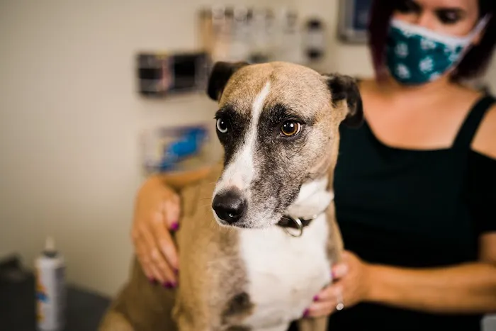 Winter Hill Veterinary Clinic 1