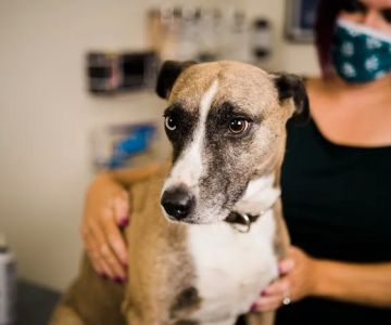 Winter Hill Veterinary Clinic
