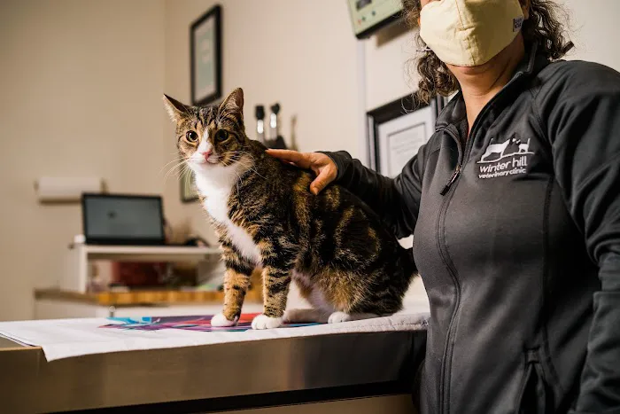 Winter Hill Veterinary Clinic 2