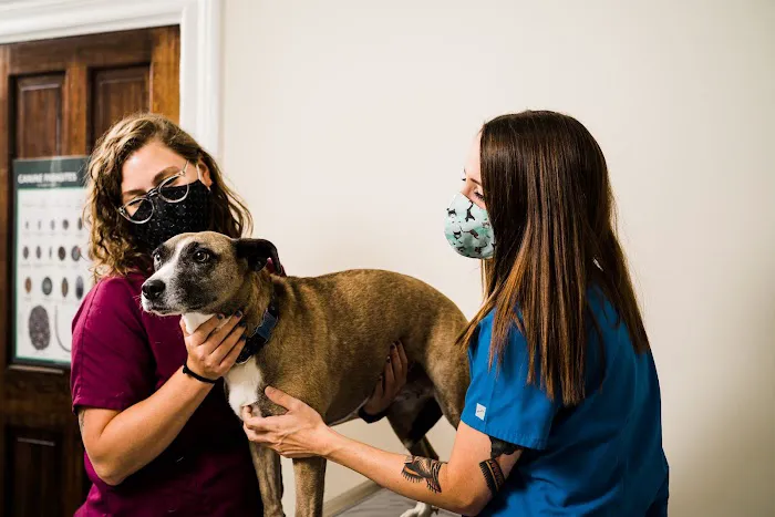 Winter Hill Veterinary Clinic 6