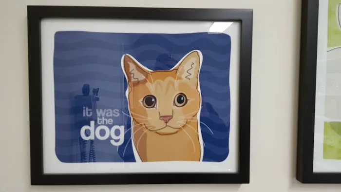 Winter Hill Veterinary Clinic 8