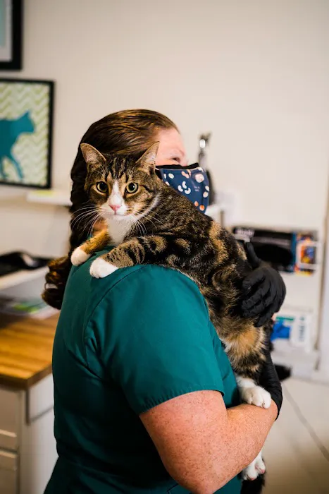 Winter Hill Veterinary Clinic 9