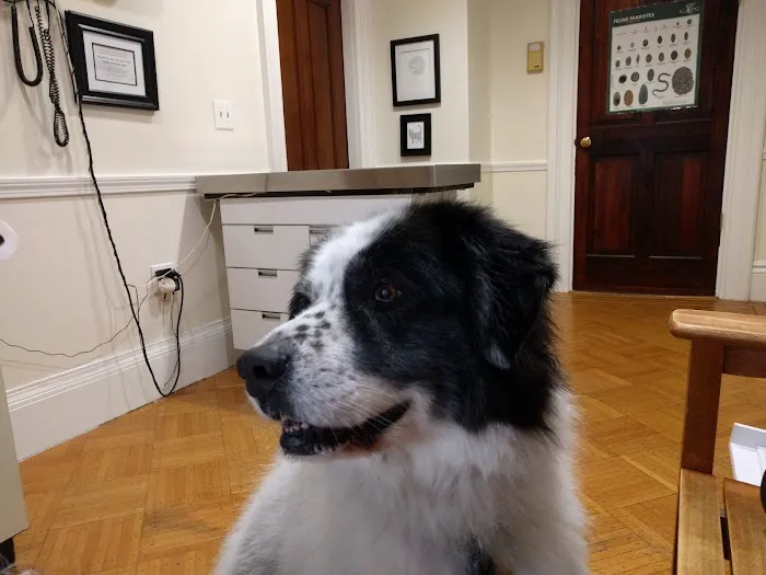 Winter Hill Veterinary Clinic 10