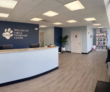 Wellington Circle Veterinary Center