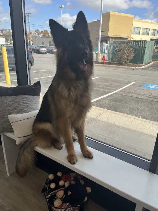 Wellington Circle Veterinary Center 6