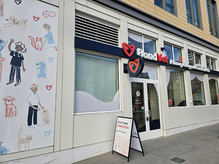 Bond Vet - Somerville 1