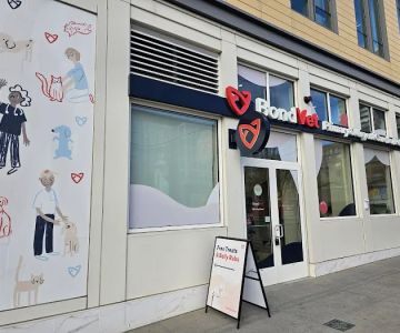 Bond Vet - Somerville