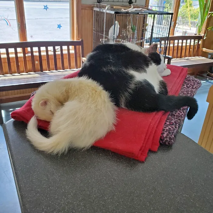 Animal Center 2