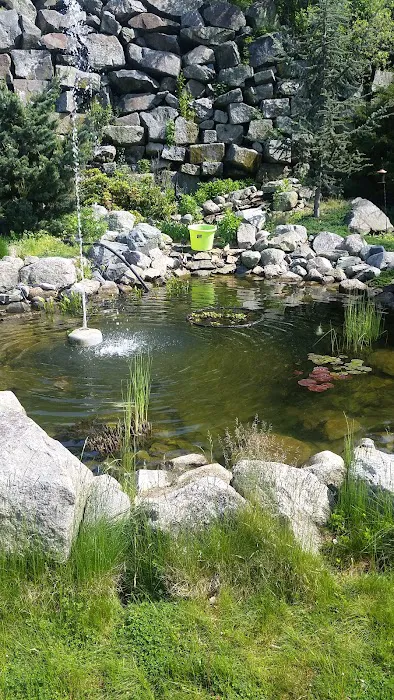 Animal Center 4