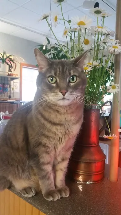 Animal Center 6