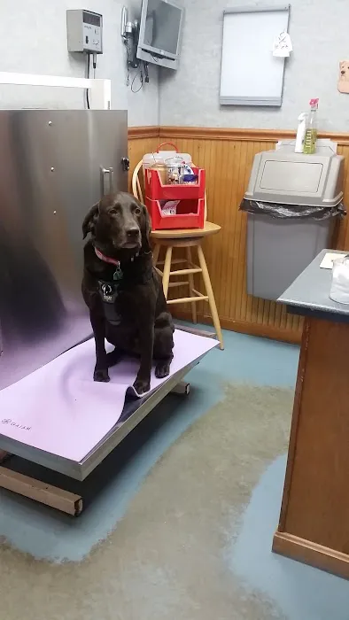 Animal Center 7
