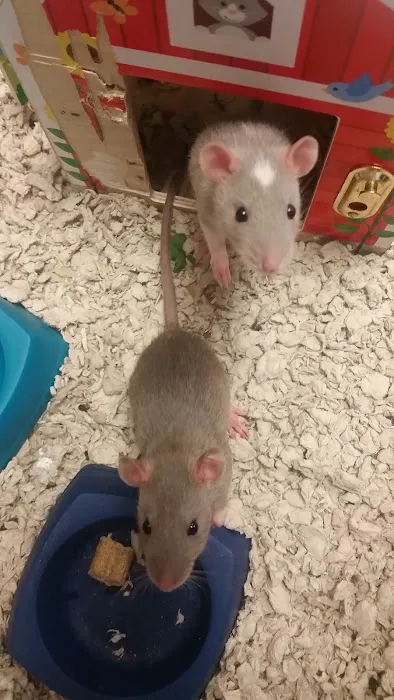 Animal Center 10