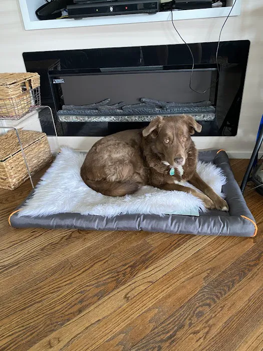 Malden Animal Hospital & Kennel 7