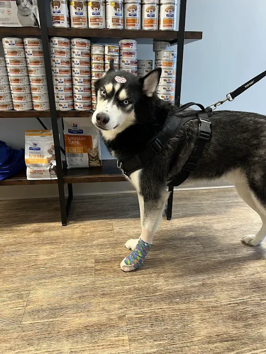 Veterinary Urgent Care Center - Saugus 4