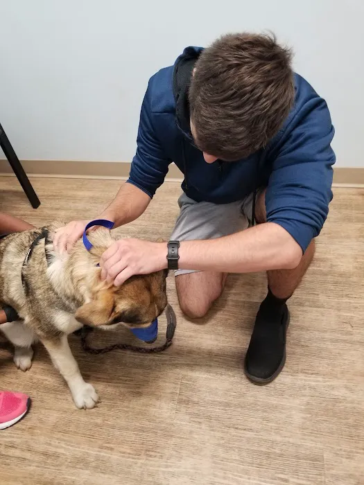 Veterinary Urgent Care Center - Saugus 6