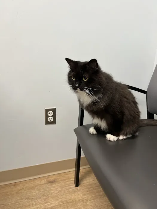 Veterinary Urgent Care Center - Saugus 9