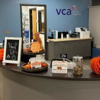 VCA Everett Animal Hospital ico