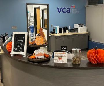VCA Everett Animal Hospital