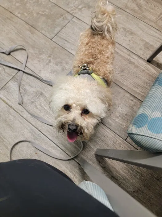 VCA Everett Animal Hospital 5