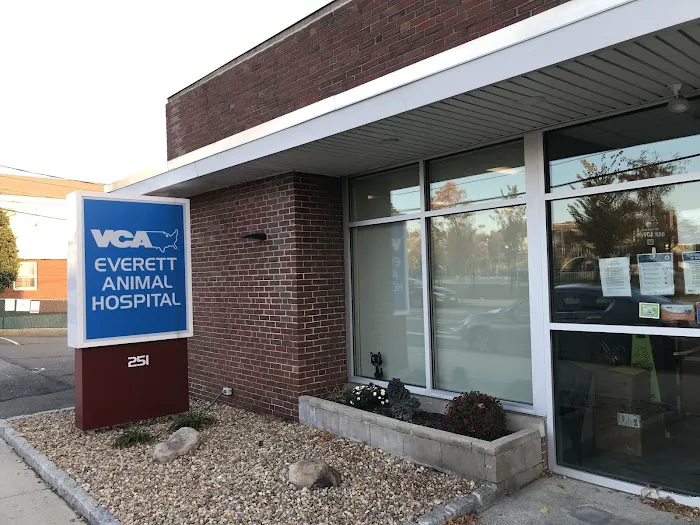 VCA Everett Animal Hospital 4