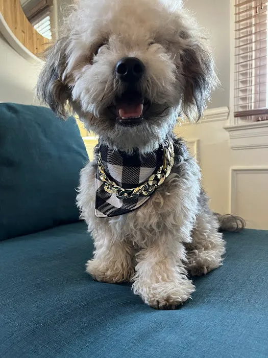 Banfield Pet Hospital 6