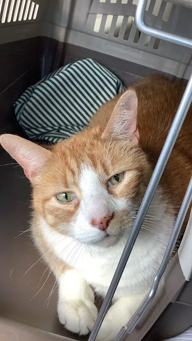 Banfield Pet Hospital 8