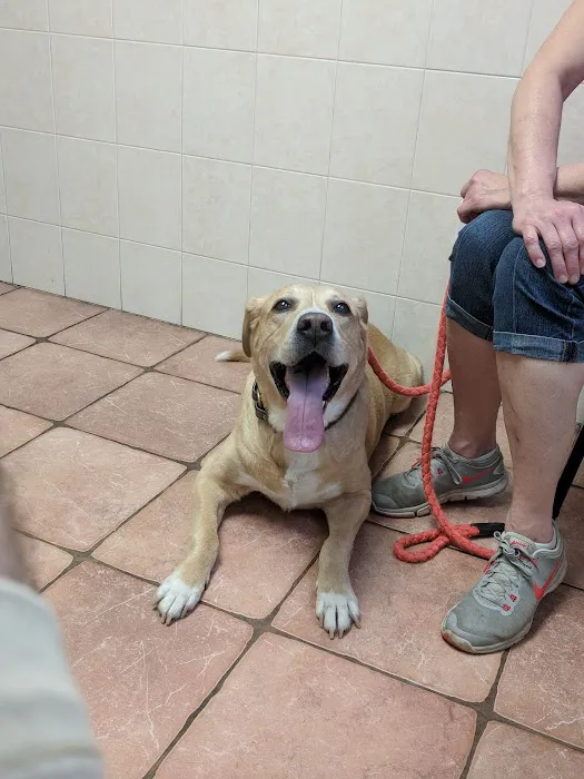 Revere Pet Clinic 5