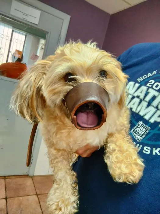 Revere Pet Clinic 4
