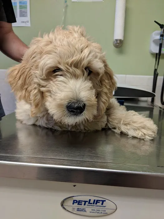 Revere Pet Clinic 10