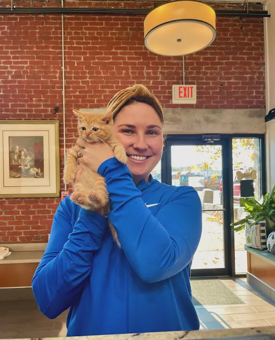 Charlestown Veterinary Hospital 6