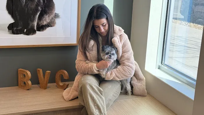 Boston Veterinary Clinic 3