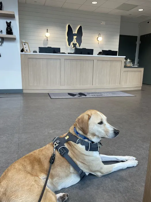 Boston Veterinary Clinic 2