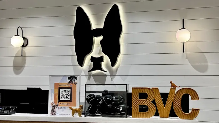 Boston Veterinary Clinic 5