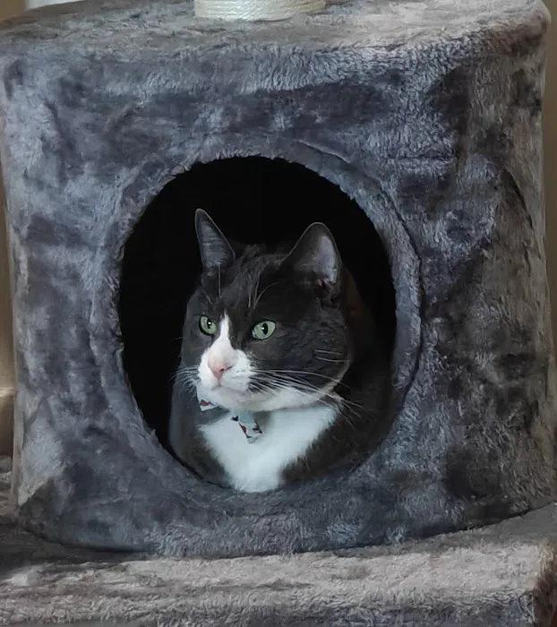 Boston Veterinary Clinic 9