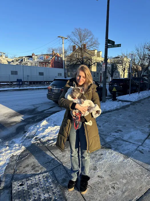 Charlestown Pet Clinic 3