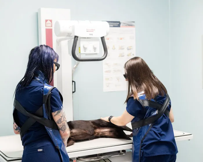 PetMedic Urgent Care Vet Clinic - Cambridge 5