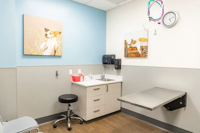 PetMedic Urgent Care Vet Clinic - Cambridge 3