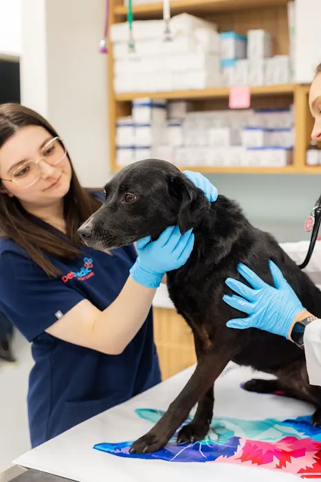 PetMedic Urgent Care Vet Clinic - Cambridge 9