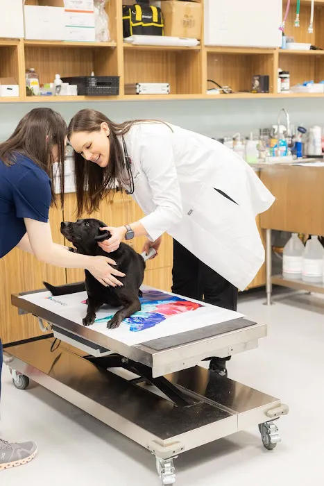 PetMedic Urgent Care Vet Clinic - Cambridge 10