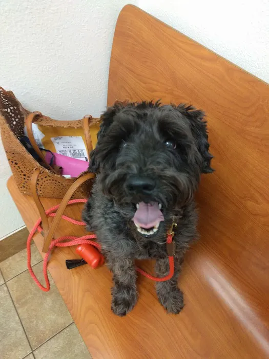 Banfield Pet Hospital 2