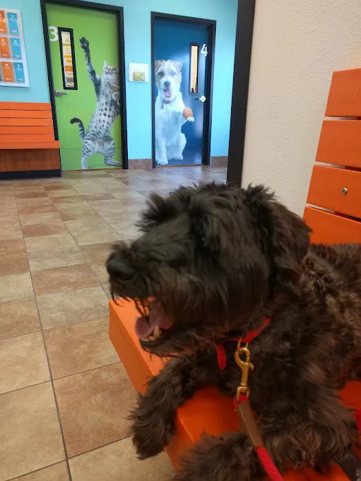 Banfield Pet Hospital 9