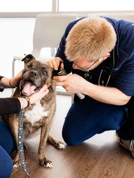 PetMedic Urgent Care Vet Clinic - Peabody 4