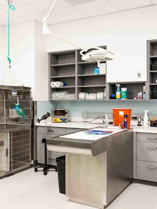 PetMedic Urgent Care Vet Clinic - Peabody 8