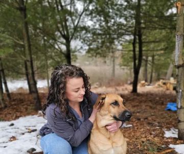 Northeast Veterinary Relief Services