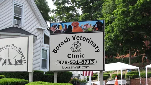 Borash Veterinary Clinic 2