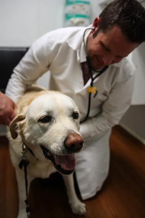 Borash Veterinary Clinic 10