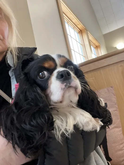 Danvers Animal Hospital 6